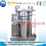 Hot Sale Philippines Hydraulic Avocado Oil Press Machine thumbnail-2