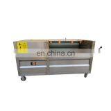 Taizy Potato Ginger Carrot Peanut Orange Taro Washing Machine thumbnail-7