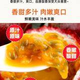 Passion Fruit thumbnail-1