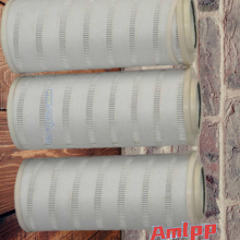 X250619922 AMLPP Filter Element