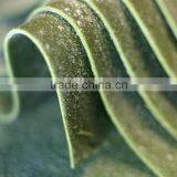 Automatic Pasta Sheet Machine Mod.A 320 DV thumbnail-1