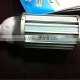 Replace Mercury Lamp Mercury Vapour