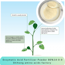 Hydrolysate protein Amino acid powder 80% organic fertilizer NPK14-0-0