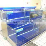 APEX Supermarket or Restaurant Custom Make Chiller Large Commercial Fish Tanks