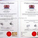 Dalian Jingtai Industry Trade Co., Ltd. company overview - view 3 thumbnail