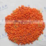 Industrial Lentil Processing Machine in India