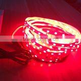 5630 Led Strip Light Waterproof 5M 300 Led Fleible String Light + 3A Power + 10key RF Remote Control Indoor Home Decoration thumbnail-5