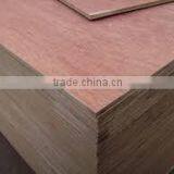 Plywood/Bintangor/Birch Plywood/Agathis Plywood/NZ Pine Plywood thumbnail-4