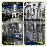 2013 new automatic water filling Machiner/plant