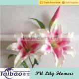 Tianjin Taibo Wholesale Long Casing Stem PU Artificial Stargazer Lilies thumbnail-1