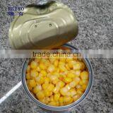 canned 340g sweet corn manufacture wholesale price