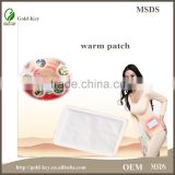 Hot Sale Rehabilitation Therapy Warm Womb Patch