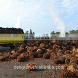 2016 New Technology Palm Oil Processing Machines Manufacturers