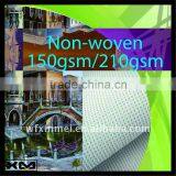 Bright Color of Water Resistant Non-woven Canvas