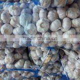 2016 Garlic 4.5cm-6.5cm Garlic Price Garlic Supplier thumbnail-4