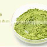 Natural Instant Green Tea Powder Offer Free Sample thumbnail-4