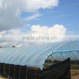 Greenhouse Film for Vegetable in Agricultural Products thumbnail-4