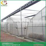 Sawtooth Type Tunnel Greenhouse Rooftop Greenhouse Modern Greenhouse thumbnail-5