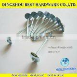 9 Bwg Eletro Galvanized Roofing Nail With Umbrella Head thumbnail-1