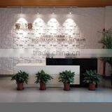 Shenzhen Lifong Technology Co., Ltd. company overview - view 3 thumbnail