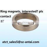 Ring Magnets,magnetic Ring