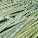 Construction Building Material Bamboo thumbnail-2