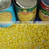 Canned Vegetables Sweet Corn Kernel With Good Taste