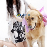 Multi-functional Durable E-co Friendly PVA Chamois Towel thumbnail-4