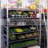 Display Flower Pot Shelf Rack With Caster thumbnail-3