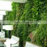Eco-friendly artificial plant wall ,artificial vertical green wall, grass wall indoor or outdoor