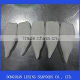 Frozen Todatodes Pacific Squid Tube