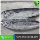 Carton or Woven Bag Packed Fat Content 16%-18% Seafish thumbnail-4