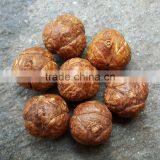 15 Beads Phoenix Eye Bodhi Seed Genuine Indonesian Buddha Chitta Mala Phrengba thumbnail-6