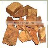 Terminalia Arjuna thumbnail-2