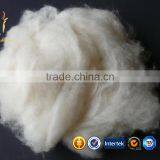 Pure Comded Mongolian Raw Sheep Cashmere Wool Fiber For Sale thumbnail-1