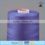 Chemical-Resistant Core Spun 60s/3 Poly Sewing Thread Spool Price
