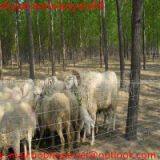 Wire Mesh Cattle Fence, Cattle Galvanized Mesh Fence, Cattle Mesh Fence thumbnail-1