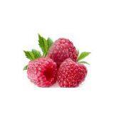 Raspberry Fruit Powder