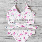 Crossfit High Cut Swimwear Flamingo Vintage Printing Bandage Bikini thumbnail-3