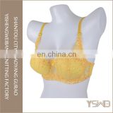 Factory price spandex yellow beautiful lace embroidery bra women