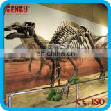 Museum High Quality Dinosaur Fossils Skeleton