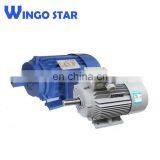 Permanent Magnet Synchronous Motor thumbnail-6