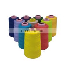 Customized 100% 40s/2 Support Pantone Color Card Color Number Polyester Core Spun Polyester Thread