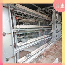 Jaula de pollos totalmente automática thumbnail-5