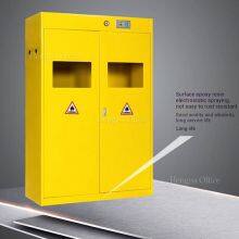 Heavy-Duty Steel Gas Bottle Cabinet With Safety Locks and Leak Detection Sensor for Lab / R&D Center thumbnail-1