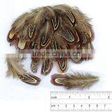 Wholesale 65-70cm Natural Ringneck Pheasant Feathe for Party Decorating, thumbnail-2