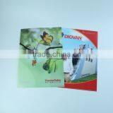 Waterproof 4C Printing l Shape Folder, l Shape Plastic Folder, Folder File for Advertising