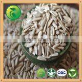 Sunflower Kernels New Product Confectionary Grade thumbnail-3