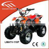 Sports Dune Buggy 110cc for Kids/adults Made in Lianmei Cheap for Sale thumbnail-1