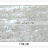 White Sea Mother of Pearl Shell Paper/shell Sheet/shell Laminate